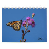 Butterflies Calendar Kalender (Hoes)