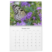 Butterflies Calendar Kalender (Jan 2026)