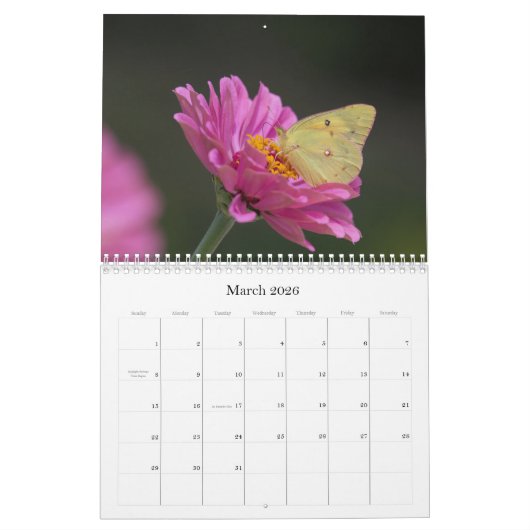 Butterflies Calendar Kalender (Mar 2026)