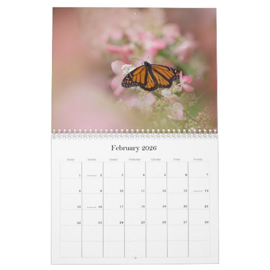Butterflies Calendar Kalender (Feb 2026)