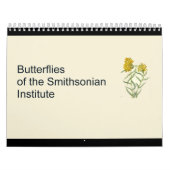 Butterflies Calendar Kalender (Hoes)