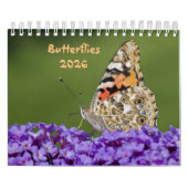 Butterflies Calendar Kalender (Hoes)