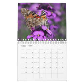 Butterflies Calendar Kalender (Mar 2026)