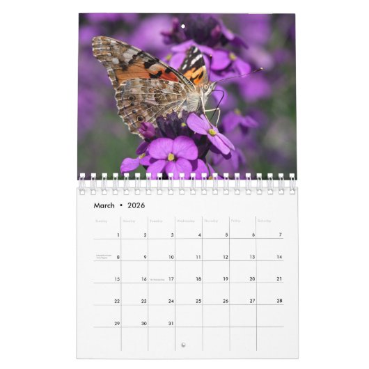 Butterflies Calendar Kalender (Mar 2026)
