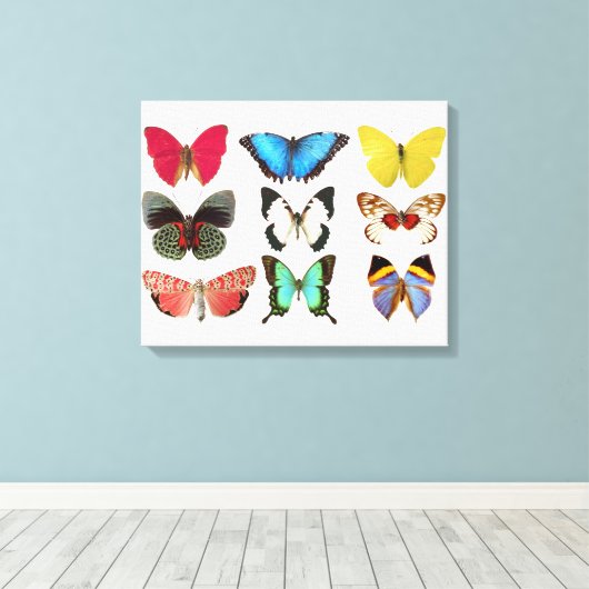 Butterflies Canvas Afdrukken (Insitu (Houten vloer))