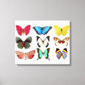 Butterflies Canvas Afdrukken (Voorkant)