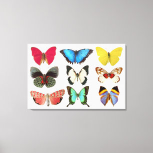 Butterflies Canvas Afdrukken