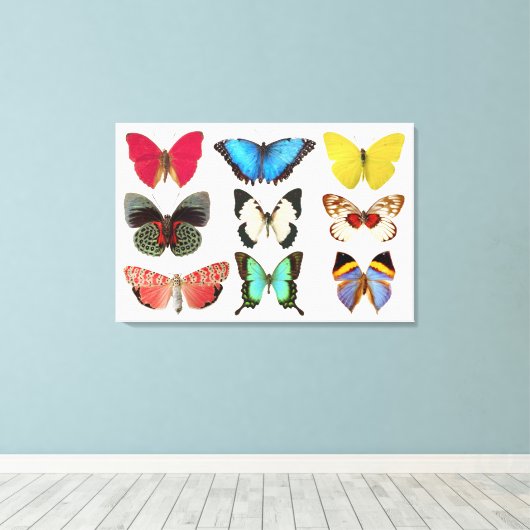 Butterflies Canvas Afdrukken (Insitu (Houten vloer))