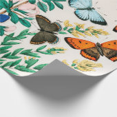 Butterflies, Caterpilars van William Forsell Kirby Cadeaupapier (Hoek)