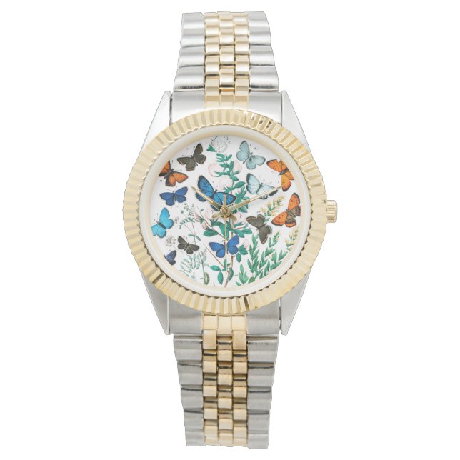 Butterflies, Caterpilars van William Forsell Kirby Horloge (Voorkant)