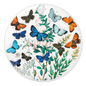 Butterflies, Caterpilars van William Forsell Kirby Keramische Knop (Voorkant)