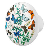 Butterflies, Caterpilars van William Forsell Kirby Keramische Knop (Rechts)