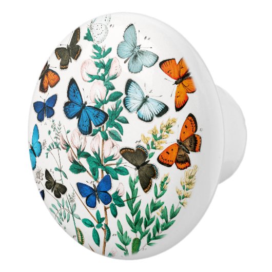 Butterflies, Caterpilars van William Forsell Kirby Keramische Knop (Rechts)