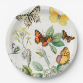 Butterflies, Caterpilars van William Forsell Kirby Papieren Bordje (Voorkant)