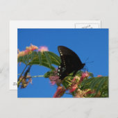 Butterflies Delend landschapsgebied Briefkaart (Voorkant / Achterkant)