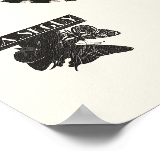  Butterflies E.A. Séguy Poster (Hoek)