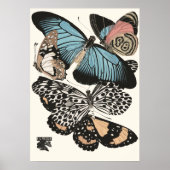  Butterflies E.A. Séguy Poster (Voorkant)