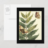 Butterflies en bladeren met zwart Lijst Briefkaart (Voorkant / Achterkant)