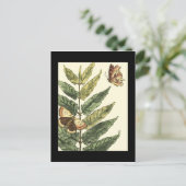 Butterflies en bladeren met zwart Lijst Briefkaart (Staand voorkant)