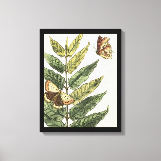 Butterflies en bladeren met zwart Lijst Canvas Afdruk (Voorkant)