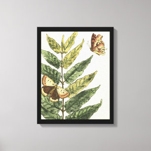Butterflies en bladeren met zwart Lijst Canvas Afdruk