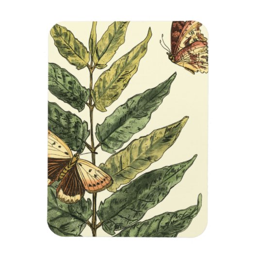 Butterflies en bladeren met zwart Lijst Magneet (Verticaal)