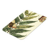 Butterflies en bladeren met zwart Lijst Magneet (Linkerzijde)