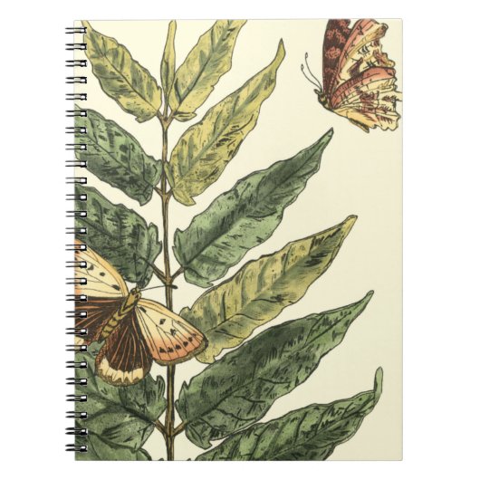 Butterflies en bladeren met zwart Lijst Notitieboek (Voorkant)