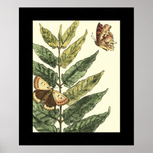 Butterflies en bladeren met zwart Lijst Poster