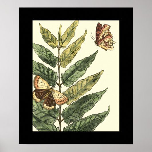 Butterflies en bladeren met zwart Lijst Poster (Voorkant)