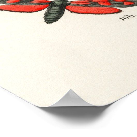 Butterflies en Flowers Poster  wanddecor (Hoek)