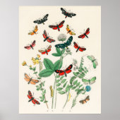 Butterflies en Flowers Poster  wanddecor (Voorkant)