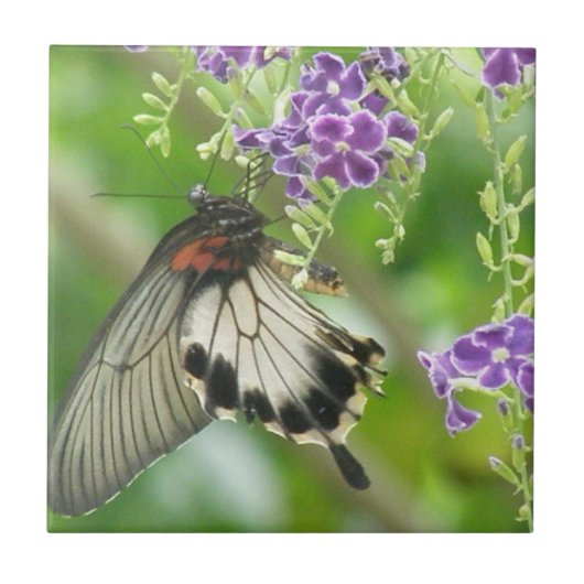 Butterflies en Flowers Tile Tegeltje (Voorkant)