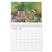 Butterflies en Friends Kalender (Feb 2026)