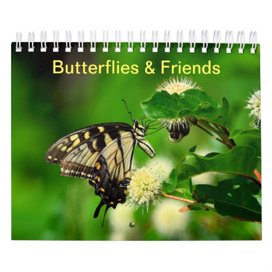 Butterflies en Friends Kalender (Hoes)