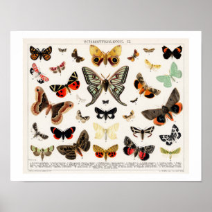 BUTTERFLIES EN MOEDERLITHOGRAFIE-POSTER POSTER