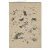 Butterflies en moten (Voorkant)