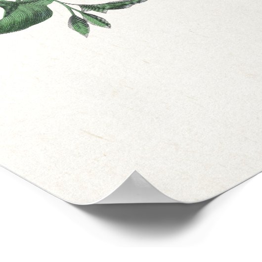 Butterflies en Moths 2 Poster (Hoek)