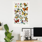 Butterflies en Moths 2 Poster (Thuiskantoor)