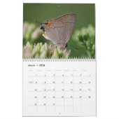 Butterflies en Moths Calendar Kalender (Mar 2026)