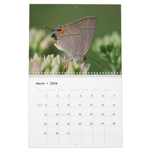 Butterflies en Moths Calendar Kalender (Mar 2026)