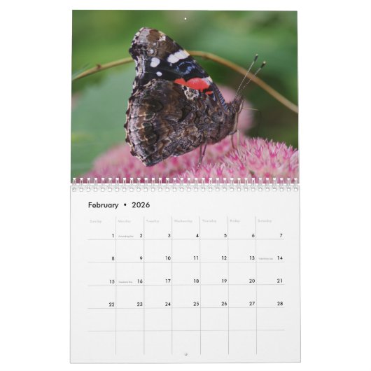 Butterflies en Moths Calendar Kalender (Feb 2026)