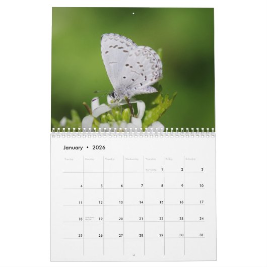 Butterflies en Moths Calendar Kalender (Jan 2026)