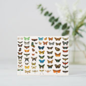 Butterflies en Moths,  Illustratie Briefkaart (Staand voorkant)
