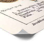 Butterflies en Moths Poster (Hoek)