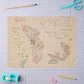 Butterflies en Moths van Kubo Shunman Tissuepapier (Craft)