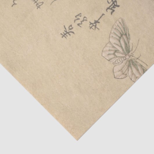 Butterflies en Moths van Kubo Shunman Tissuepapier (Detail)