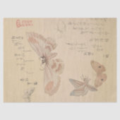 Butterflies en Moths van Kubo Shunman Tissuepapier (Voorkant)