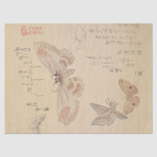Butterflies en Moths van Kubo Shunman Tissuepapier