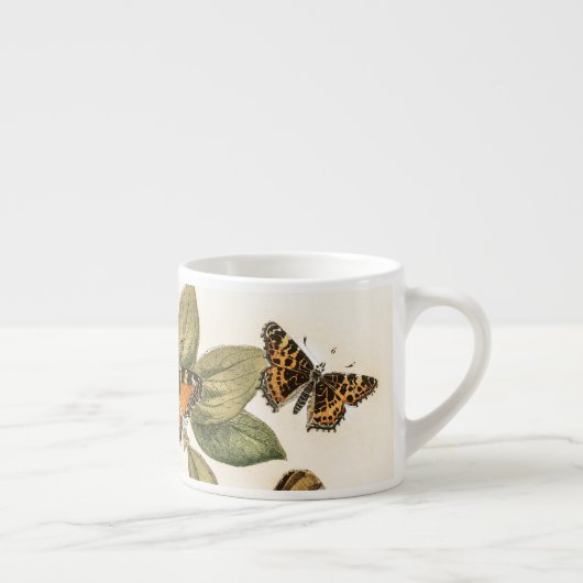 Butterflies en Moths van William Forsell Kirby Espresso Kop (Rechts)